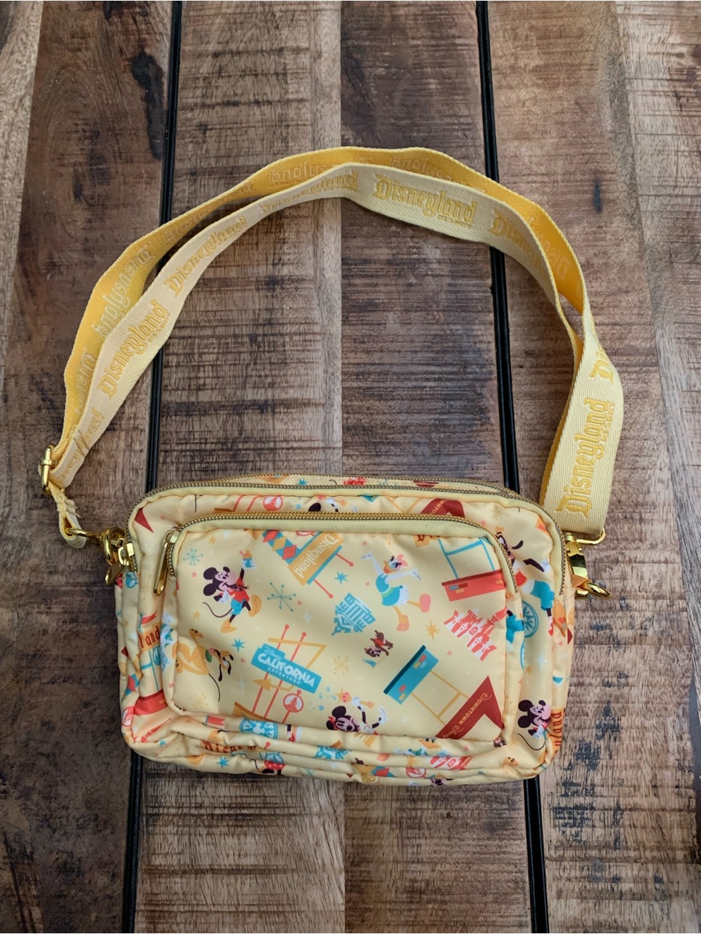 Disney Play in the Park Convertible Crossbody / Belt Bag